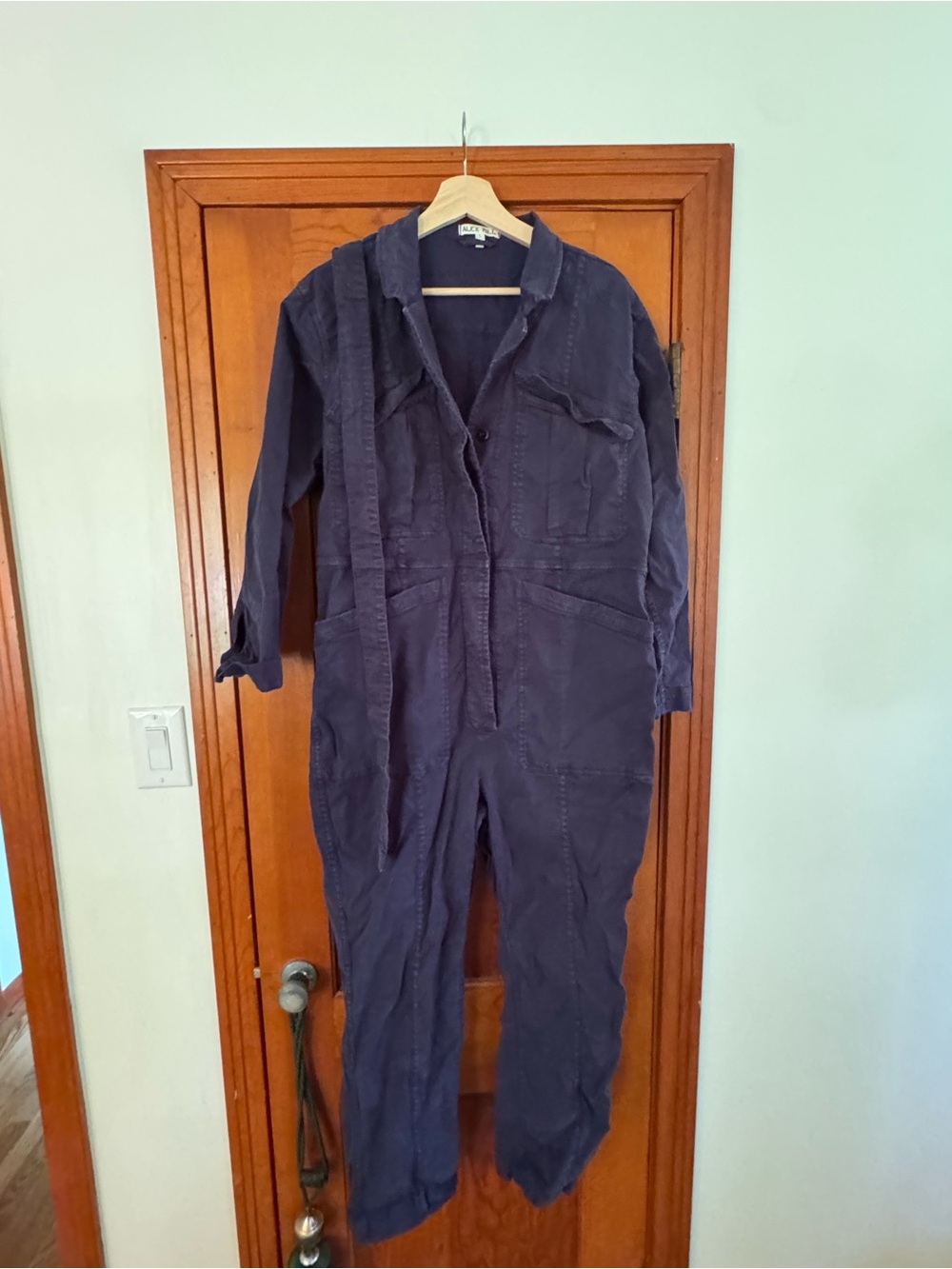 Alex Mill Navy Jumpsuit with Belt - Picture 6 of 9